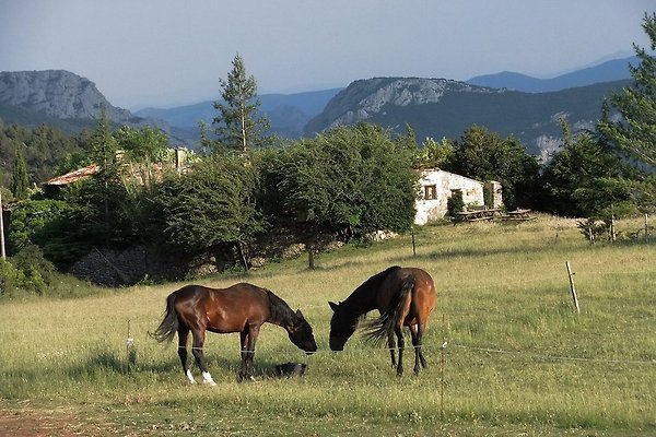 Ferienhaus Cubieres