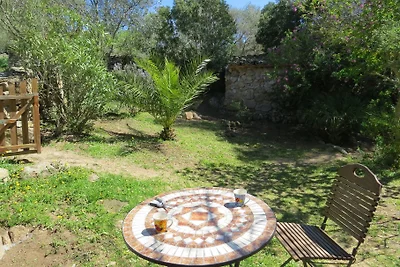 Casa Zebra -ökologisches House