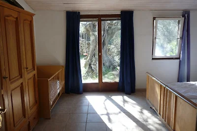 Casa Zebra -ökologisches House