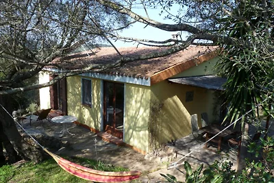 Casa Zebra -ökologisches House