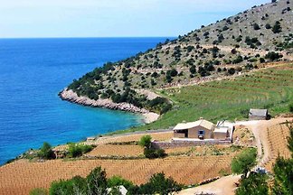 Dream Villa