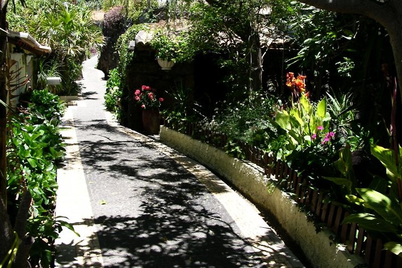 Village Path