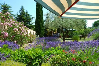 La Fleur de Lavande