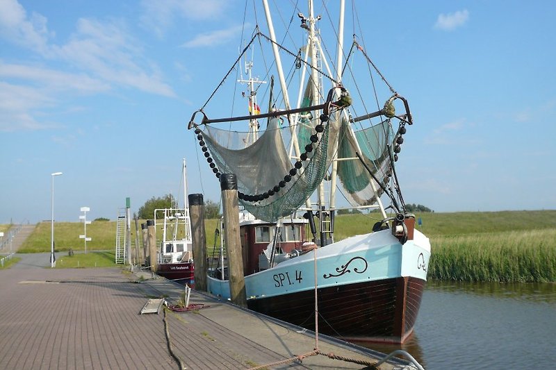 Spieka-Neufeld, Port de pêche
