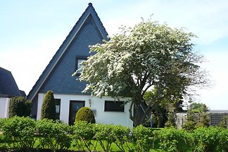 Seeschwalbenhaus