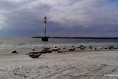 Deichweghaus