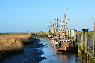 Deichweghaus