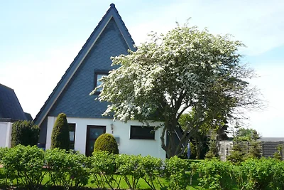 Seeschwalbenhaus