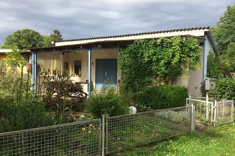 Charmantes Landhaus mit Garten, Bäumen und blühenden Sträuchern.