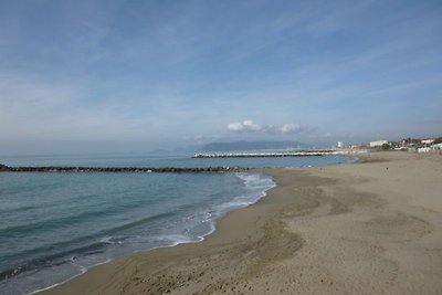 Fe-Wo. Massa / Toscane zee