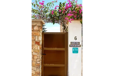 Casa Amarilla / ETV 10903