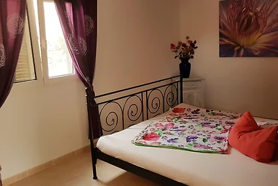 Casa Amarilla / ETV 10903