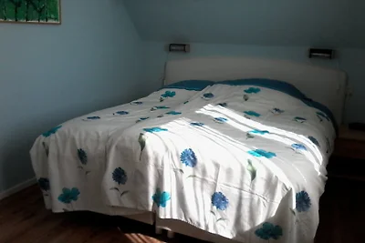 Zomerhuis Diana  Egmond aan Zee