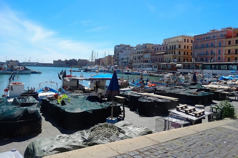 Anzio - fishing-harbour