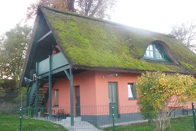 "Rohrdach"