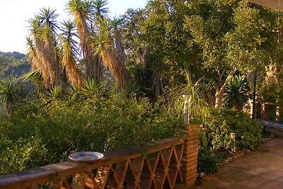 Monte de los Frailes