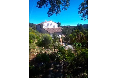 Monte de los Frailes