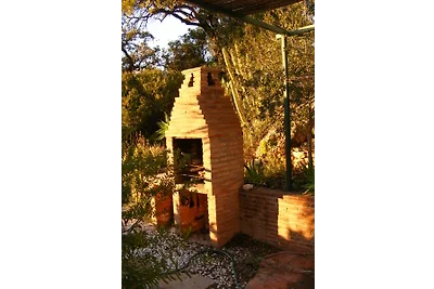 Monte de los Frailes