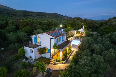 TOP! Unique villa,private forest and pool,near sea