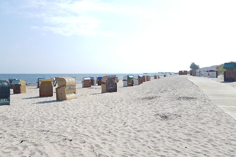 Sezione di spiaggia 2