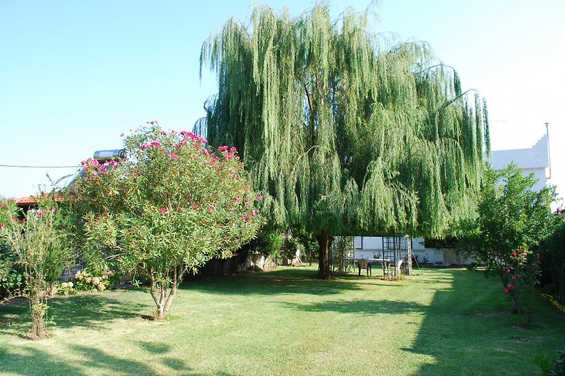 giardino posteriore con padiglione