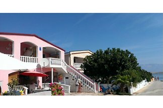 Apartments Alma