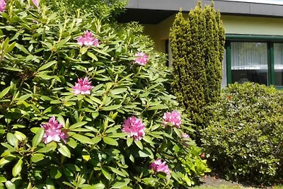Ferienhaus zum Wohlfühlen 300m vSee