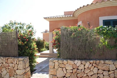 Yacaranda