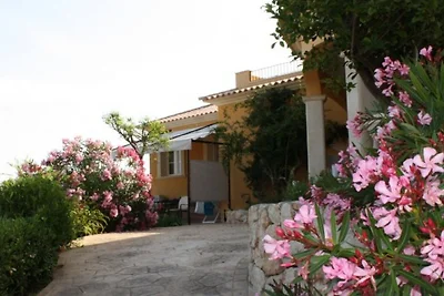 Appartamento Llimonera
