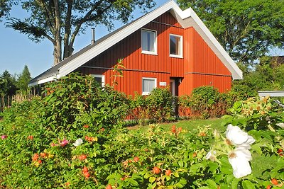 Vakantiehuis 9 personen aan het meer, Mirow