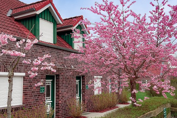 Ferienhaus Hooksiel