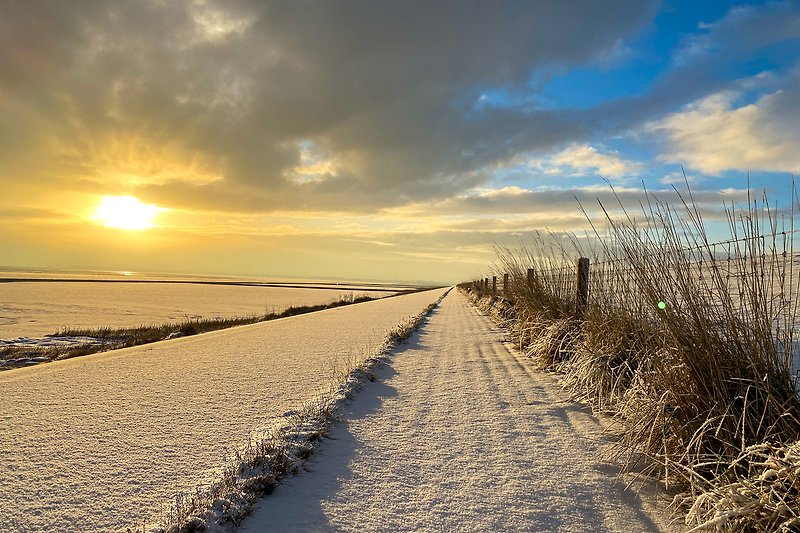 Schönes Winterbild mit Strand, Küste, Meer und Sonnenaufgang. Perfekt für Naturliebhaber.