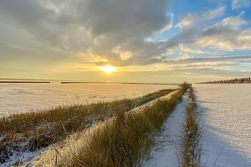 Winterstille, Sonnenschein und unberührter Schnee entlang der Nordsee