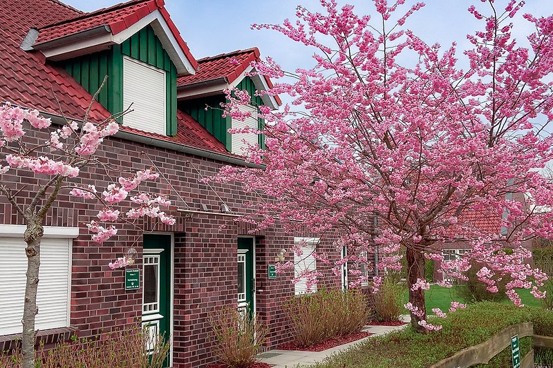 Pinkes Haus mit blühendem Garten und blühenden Pflanzen.