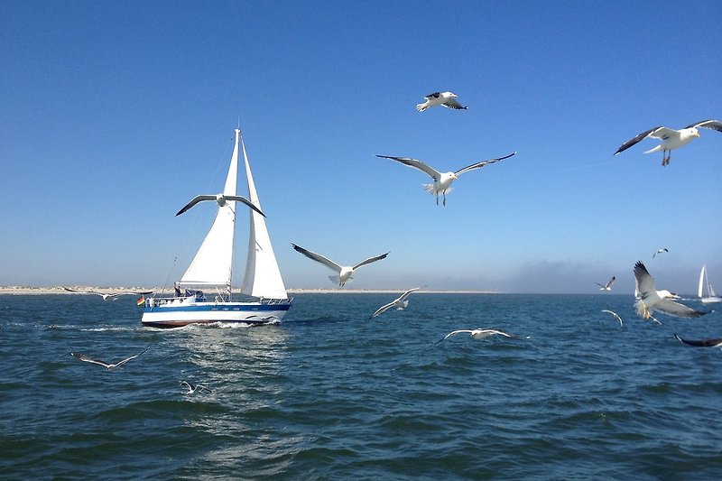 Wunderschönes Bild mit Segelbooten auf ruhigem See. Perfekt für Wassersportliebhaber.