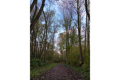 "FW op de begane grond" SeeparkHooksiel