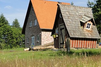Bispinger Heidezauber