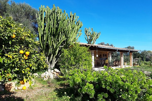 Ferienhaus Ses Salines