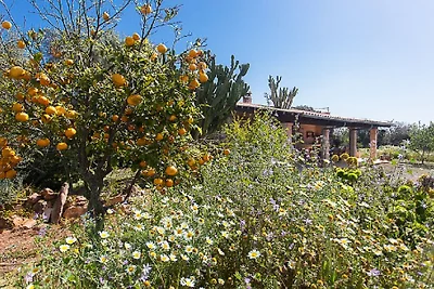♥ finca Ses Salines Estrenc @