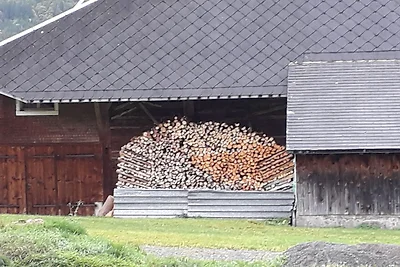 Soleggiato bilocale in campagna