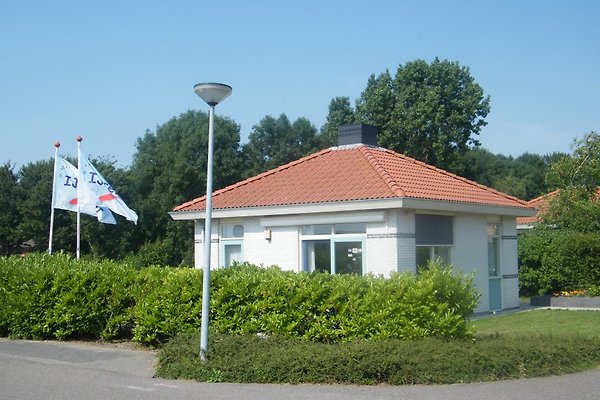 Frau A. Voorn Frau A. Voorn