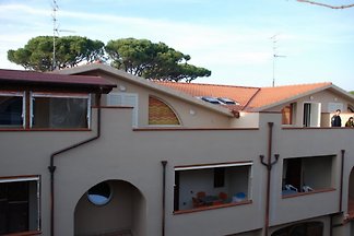 BRAMANTE