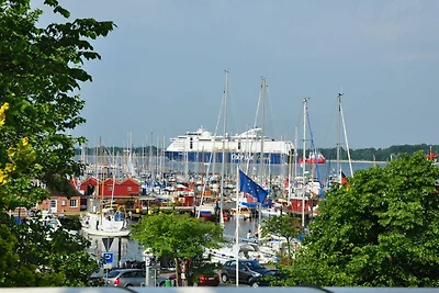 Ostseekrabbe
