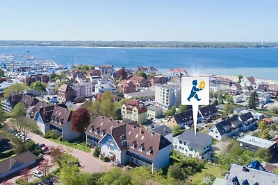 Ahoi