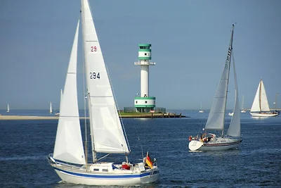 Dock 53