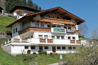 Apart Tiefenbach neben Skiabfahrt!!