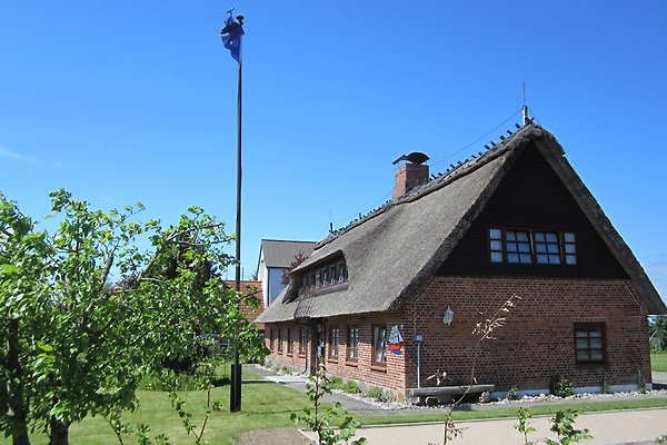 Ferienhaus Nieby