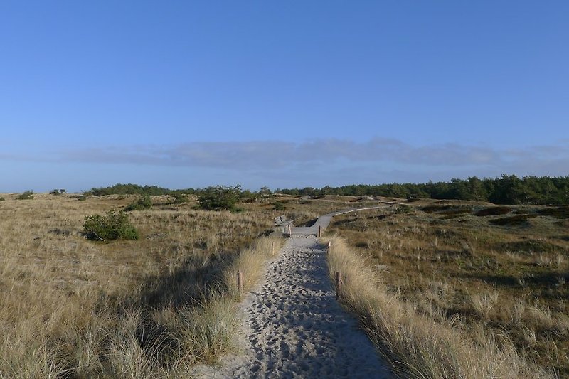 Path to the West Beach