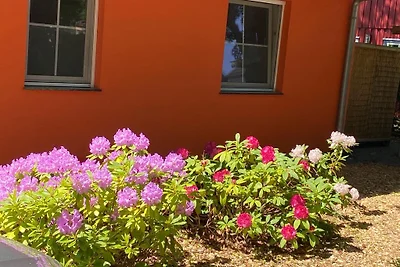 Casa vacanze benessere Sauna/Camino