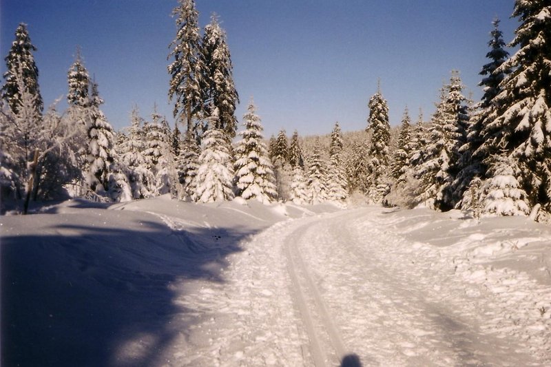 Auch im Winter ist Altenau eine Reise wert